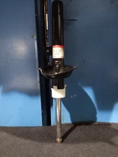 Ford Focus 1998-2005 Front Shock (D20402).