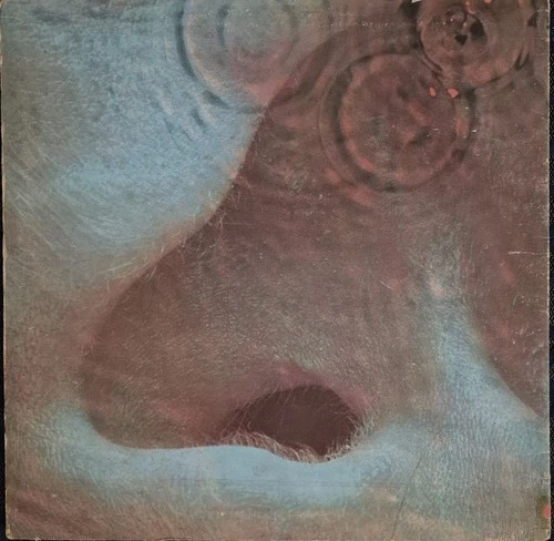 Pink Floyd Meddle Album 1971 Harvest Label (Tested) #SHVL 795