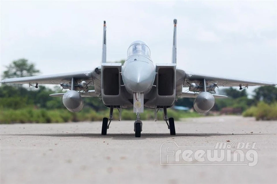 Freewing F 15C Eagle EPO 965mm KIT Plus Jet EDF Impeller Brushless 90 NEU&OVP - Bild 2 von 4