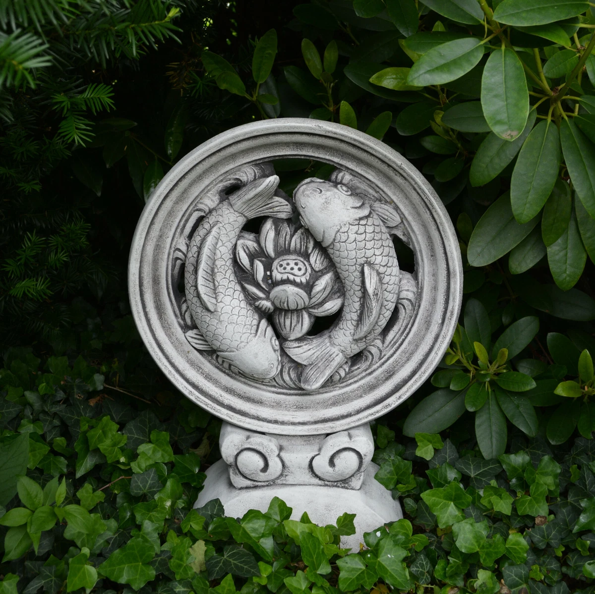 54 kgs cheap in stone