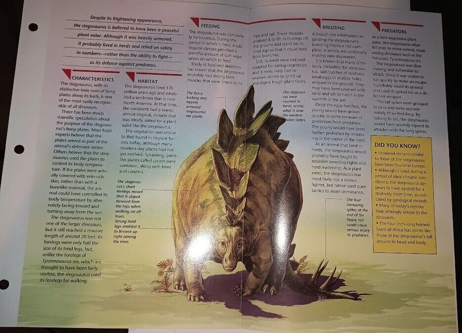 Tarjeta desplegable Stegosaurus #7 Grupo 7 Wild Life File Foto 3 de 3