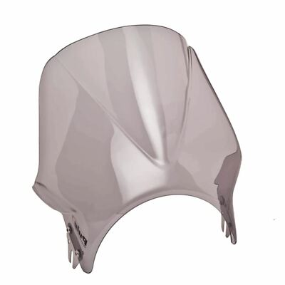 Puig Windy Screen Light Smoke for Daelim Roadwin 125 09-14