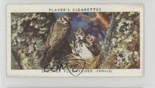 1937 Player's Birds & Their Young Tobacco Spotted Flycatcher #13 7ut