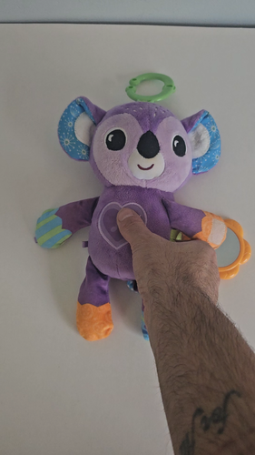Vtech Grab and Go Koala Plush Take Along Toy Baby Carseat - Video 1 of 1