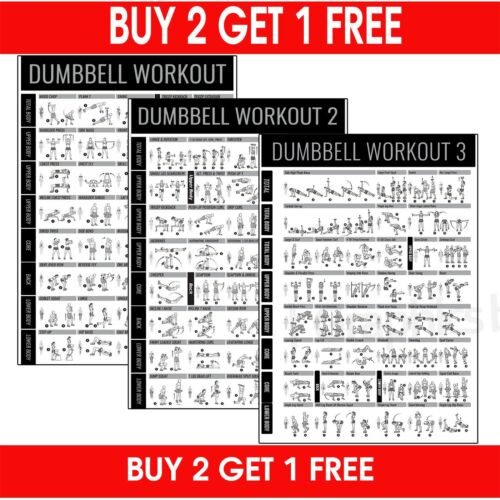 Dumbbell GYM WORKOUT Exercise Chart POSTER Poster Wall PRINT | A5 A4 A3 | - Afbeelding 1 van 9