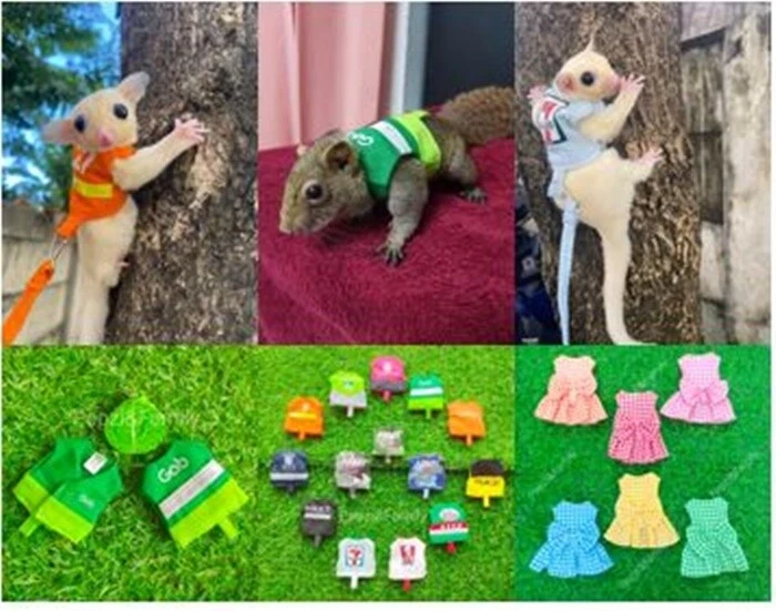 Animal Pet Supplies clothes Sugar Glider Hamster Mouse Squirrel Leashes Cute