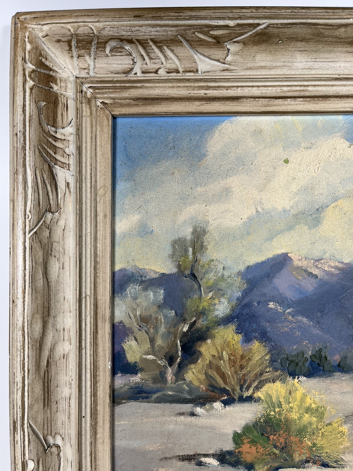 Picture 7 of 24