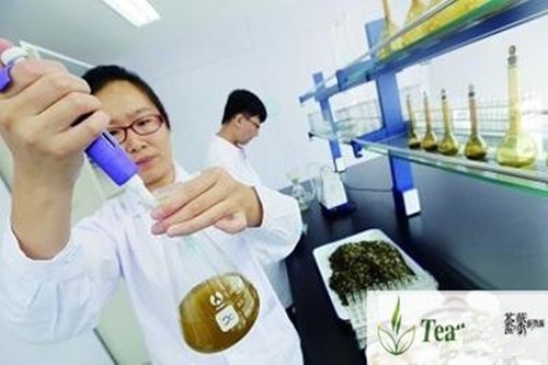 Premium 250g Wuyi Da Hong Pao Große Rote Robe Oolong Tee Wuyi Yan Cha Cliff Tee - Bild 9 von 12