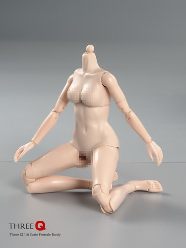 1/6 weibliche Actionfigur Körper blass sonnenbraun groß mittel kleine Büste für 12 Zoll Puppe - Bild 6 von 16