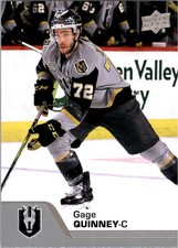 2020-21 Upper Deck AHL #21 Gage Quinney - HKY