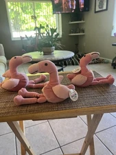 Flamingo Bean Pets