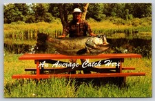Postcard Funny Fishing Giant Fish Fisherman with Average Catch Here Table USA