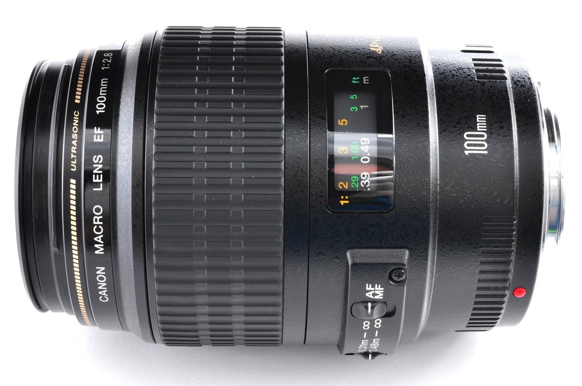 Canon EF 100mm f/2.8 Macro USM Lens Sharp Macro & Portrait Near