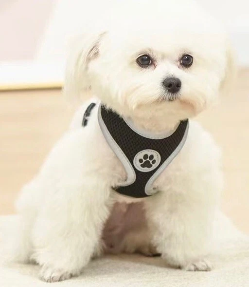Dog Harness, No Pull Reflective Adjustable Breathable Mesh Paw Design S M L