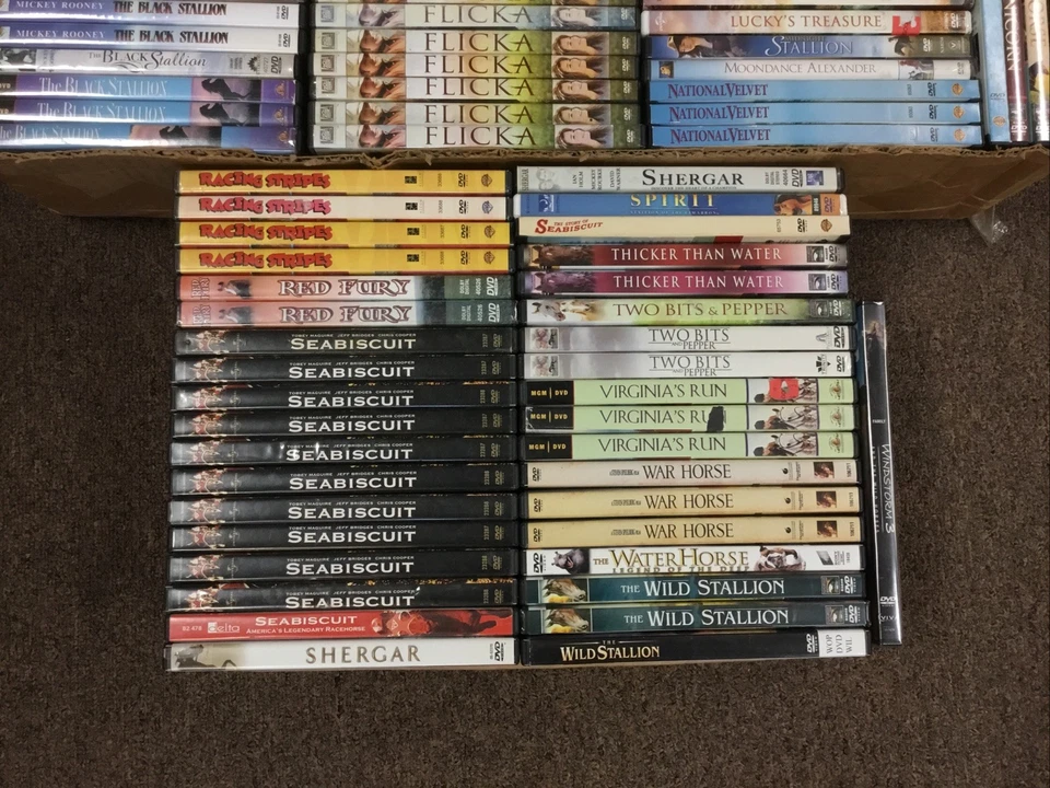 HORSE / EQUESTRIAN MOVIES - You Pick DVD Lot - ($1.99) Each Combine S&H ($3.50) - Image 3 of 3