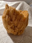 Real Sea Sponge Decorative Vase Coastal Nautical Beach Home Decor Tarpon Springs — photo 5