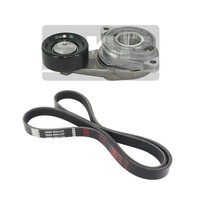 SKF Keilrippenriemensatz Vkma 63066