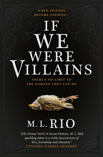 If We Were Villains: The Sensational TikTok Book Club pick by M L Rio PAPERBACK - Image 6