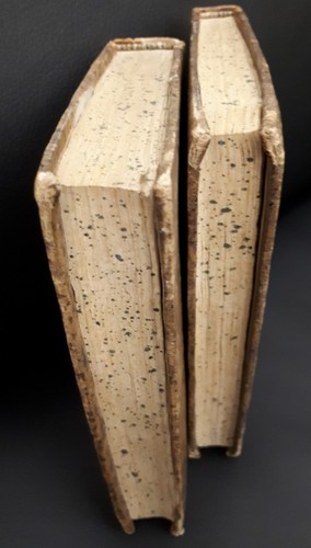 J. G. Heineccii - Recitationes in Elementa Juris Civiles (2 tomi) - Venezia 1815 - Picture 3 of 12