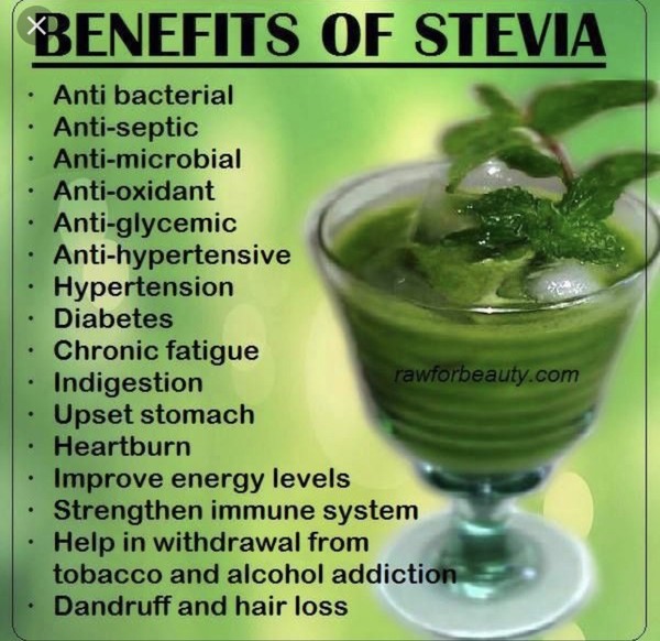 Green Stevia powder Pure (100grams) (contains no erythritol or other