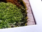 Bild 7 von 9