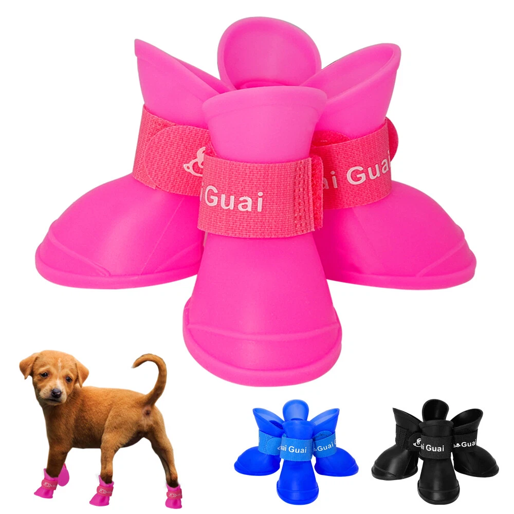 Little boots store for dogs