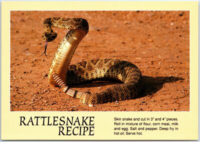 VINTAGE CONTINENTAL SIZE POSTCARD RATTLESNAKE RECIPE CROTALUS ATROX DIAMONDBACK