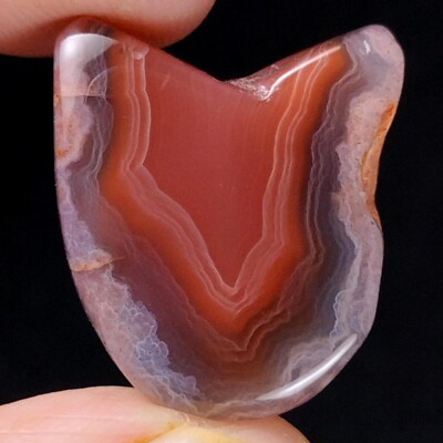 Natural Rare Botswana Agate Fancy Slice Flat Gemstone Crystal Specimen
