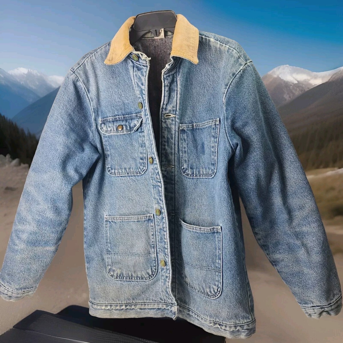 pointer canvas chore coat