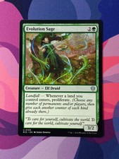 Evolution Sage | *% Off 2+ | Lorwyn Eclipsed | NM | MTG