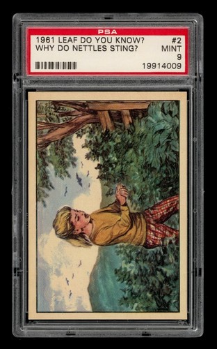 1961 Leaf Do You Know? Set-Break #  2 Why Do Nettles Sting? PSA 9 MINT