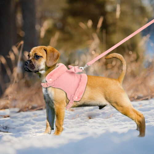 Hundegeschirr mit Leine Kleine Hunde Chihuahua Katzengeschirr Winter Fleece XS-L - Bild 13 von 22