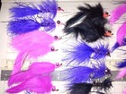 Bild 4 von 5