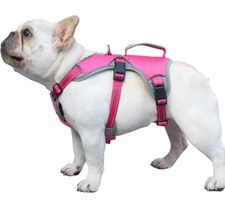 Escape Proof Dog Harness, Escape Artist Harness, Reflective Dog Harness with...