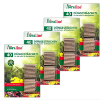 160 DüNgestäBchen DüNger Pflanzen DüNger GrüNpflanzen BlüHpflanzen Mit Guano