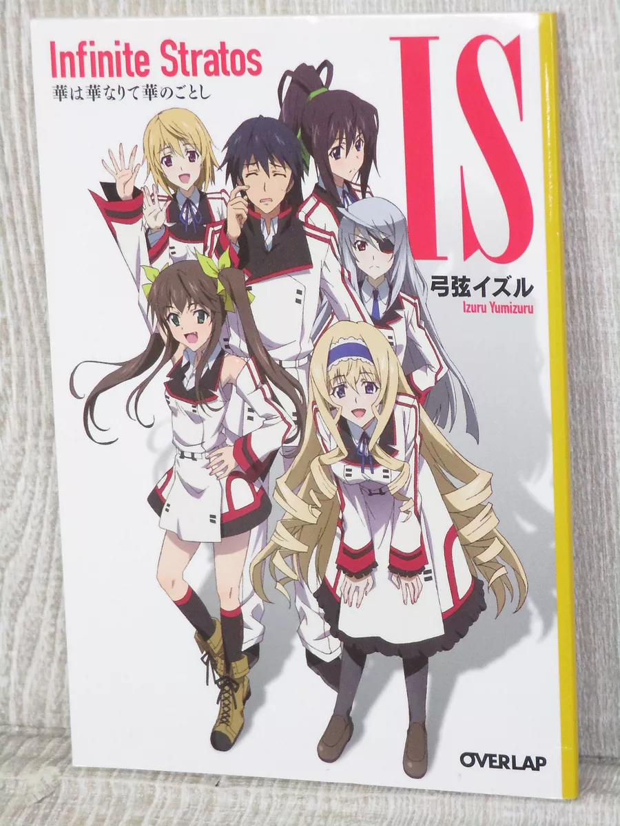 IS INFINITE STRATOS Ltd Novel IZURU YUMIZURU Japan Book Booklet