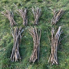 30x 90cm Willow cuttings very fast quick growing hedge screen biomass firewood 