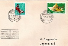 Schweiz Sonderstempel  Automobilpost PEN A693 Esperanto Kongress 9.5.1955