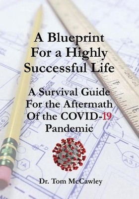 A Blueprint For a Highly Successful Life: A Survival Guide For the Aftermath Of 