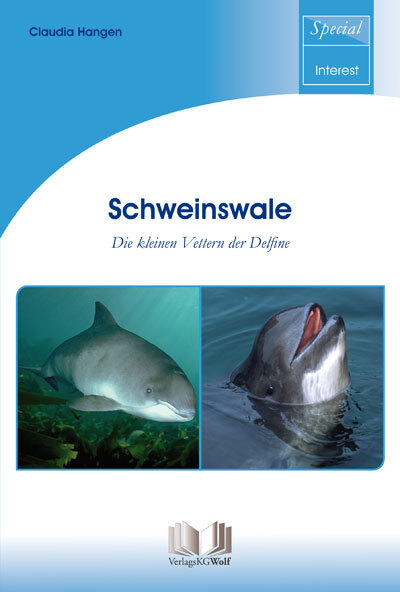 Thumbnail - Claudia Hangen / Schweinswale