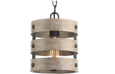 Progress Lighting Gulliver 8-1/2 in. 1-Light Graphite Coastal Drum Mini-Pendant