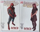 Amazing Spider-Man #544 + Friendly Neighborhood #24 Variant! One More Day Pt 1 2