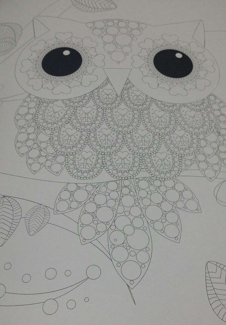 Picture 10 of 12