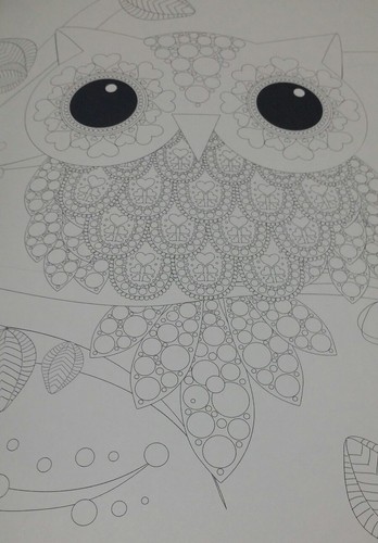 Serene And Tranquil Adult Coloring Book Crayola Pencils The Art Of Mindfulness - Picture 10 of 12