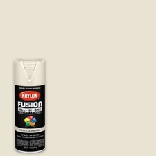 Fusion All-In-One Adhesive Spray Paint for Indoor/Outdoor Use, 12 Oz, Clamshell
