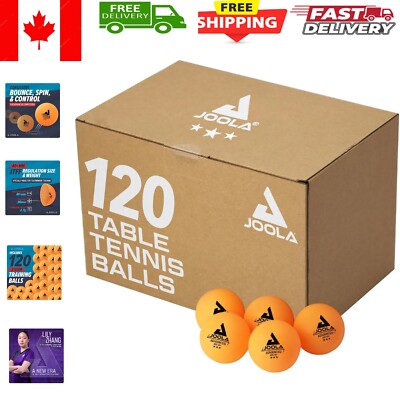 Versatile 40mm Plastic Table Tennis Balls - 120 Pack for Practice or Pets