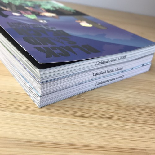 Black Sand Beach Graphic Novel Books Set 1-3 - Picture 4 of 8