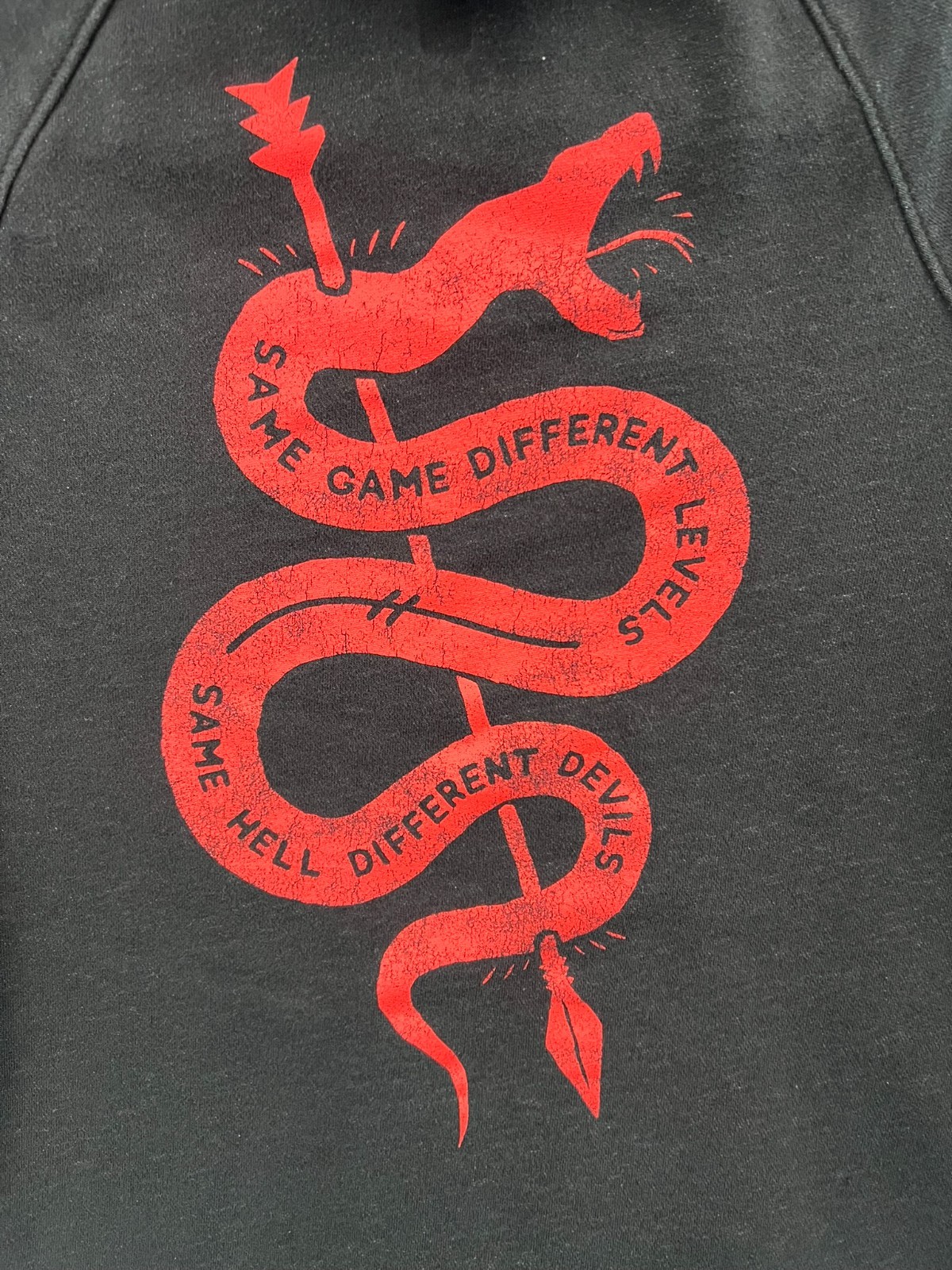 Under Armour Project Rock Hoodie Mens Small Black Snake Levels Hell Devils thumbnail 6