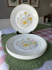 Vintage Corelle Meadow Dinner Plates Set of 8