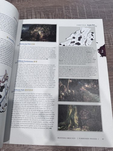Bloodborne Collector's Edition Strategy Guide PlayStation PS4 2015 Edition No DJ - Picture 13 of 19